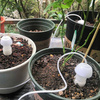 Nawadniacz ceramiczny - biały - Automatyczny kroplownik do nawadniania roślin
